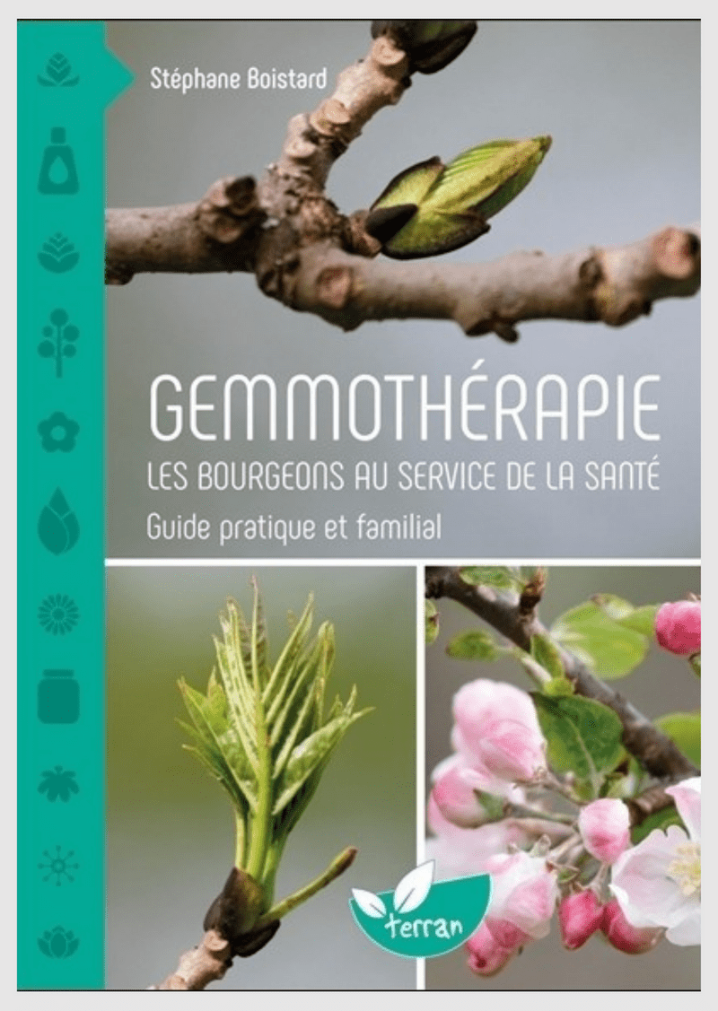 Gemmotherapy